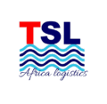 tele shipping and logistics ltd logo 2 removebg preview