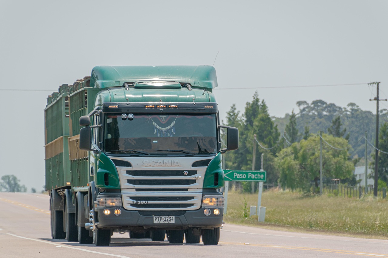 truck, logging truck, road, highway, route, pavement, cargo, wood transport, transport, vehicle, truck, truck, truck, truck, truck, cargo, cargo